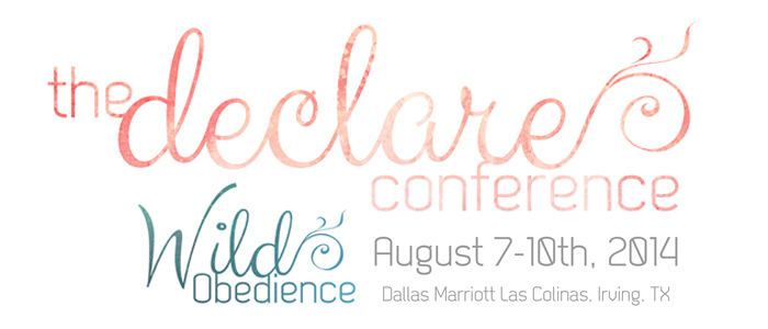 thedeclareconference-promo