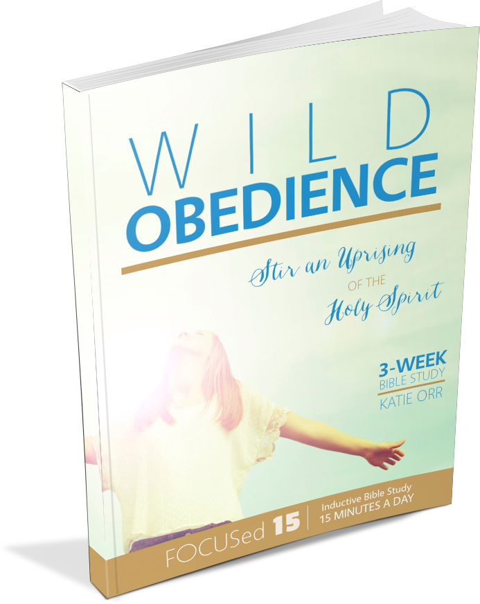 The Wild Obedience Bible Study Is Here Declare the-wild-obedience-bible-study-is-here-declare